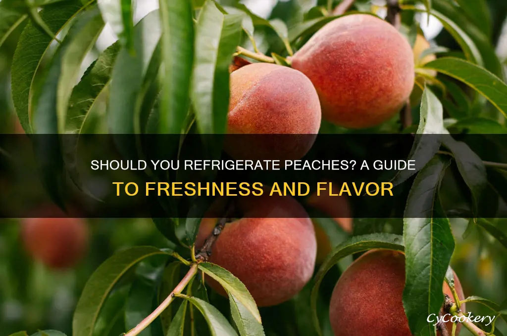 should i put peaches in the refrigerator