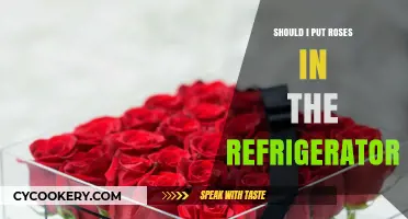 Should You Refrigerate Roses? Tips for Keeping Cut Flowers Fresh