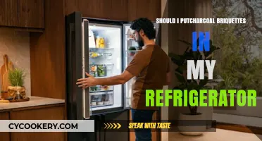 Charcoal Briquettes in the Fridge: Myth or Effective Odor Solution?