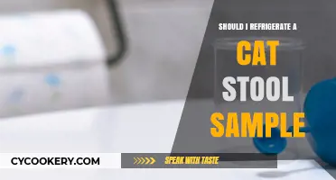 Should You Refrigerate Your Cat's Stool Sample? Expert Tips