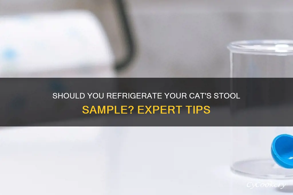 should i refrigerate a cat stool sample