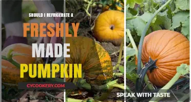 Should Freshly Made Pumpkin Be Refrigerated? Tips for Storage
