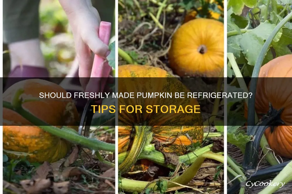should i refrigerate a freshly made pumpkin
