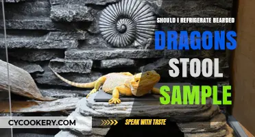 Refrigerating Bearded Dragon Stool Samples: Essential Tips for Proper Storage