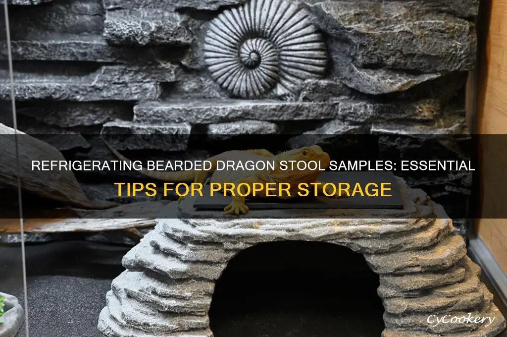should i refrigerate bearded dragons stool sample