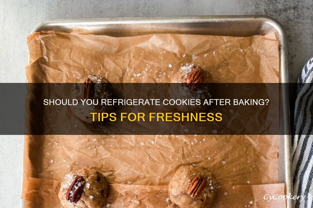 should i refrigerate cookies after baking them