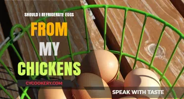 Refrigerating Fresh Eggs: Best Practices for Your Backyard Chicken Flock