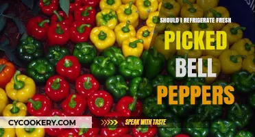Refrigerate or Not? Best Storage Tips for Fresh Picked Bell Peppers