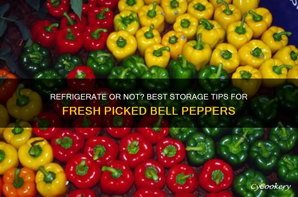 should i refrigerate fresh picked bell peppers