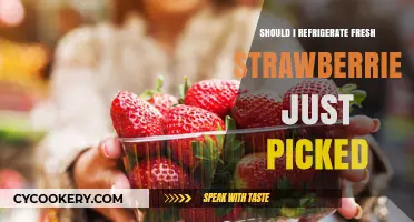 Refrigerate Fresh Strawberries: Best Practices for Just-Picked Berries