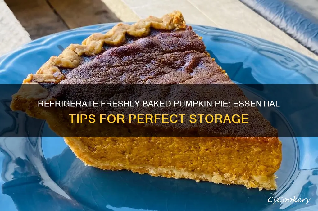 should i refrigerate freshly baked pumpkin pie