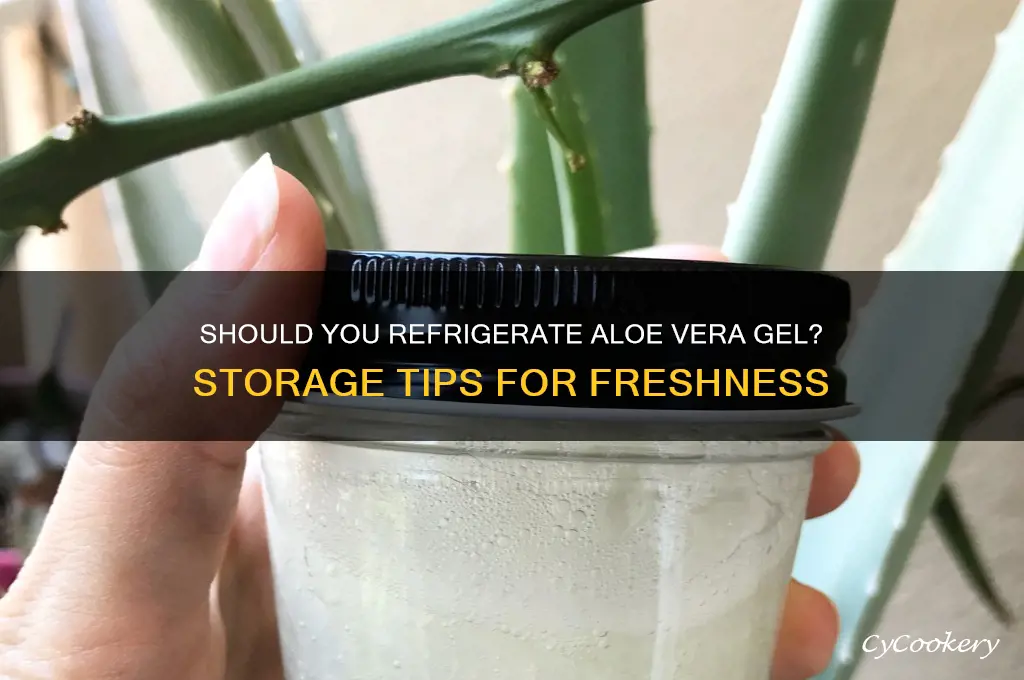 should i refrigerate my aloe vera gel