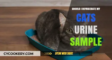 Should You Refrigerate Your Cat's Urine Sample? Expert Tips