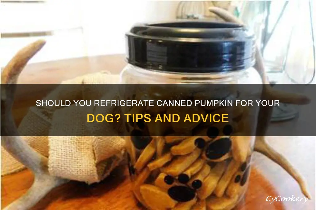should i refrigerate my dog pumpkin can