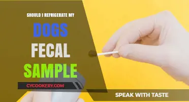 Should You Refrigerate Your Dog's Fecal Sample? Expert Tips