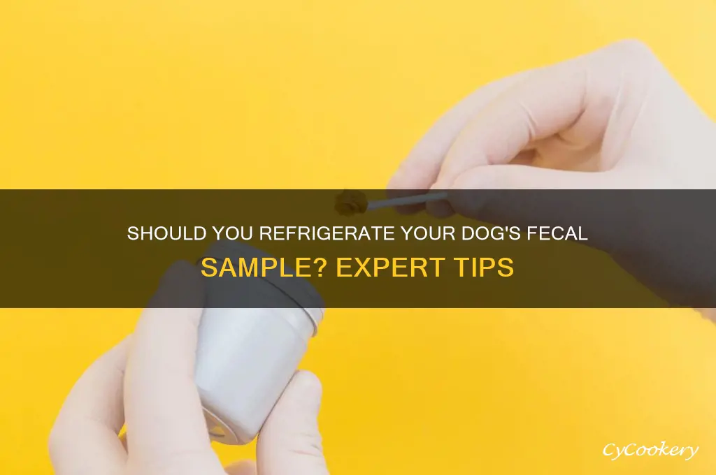 should i refrigerate my dogs fecal sample