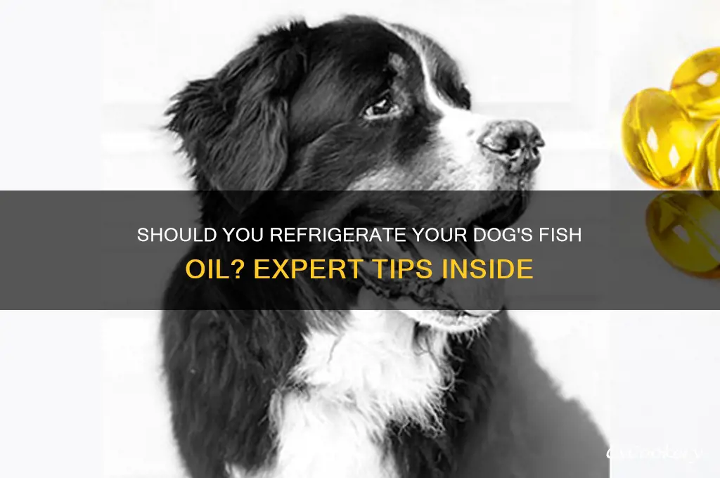 should i refrigerate my dogs fish oil