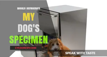 Should You Refrigerate Your Dog's Specimen? Expert Tips and Advice
