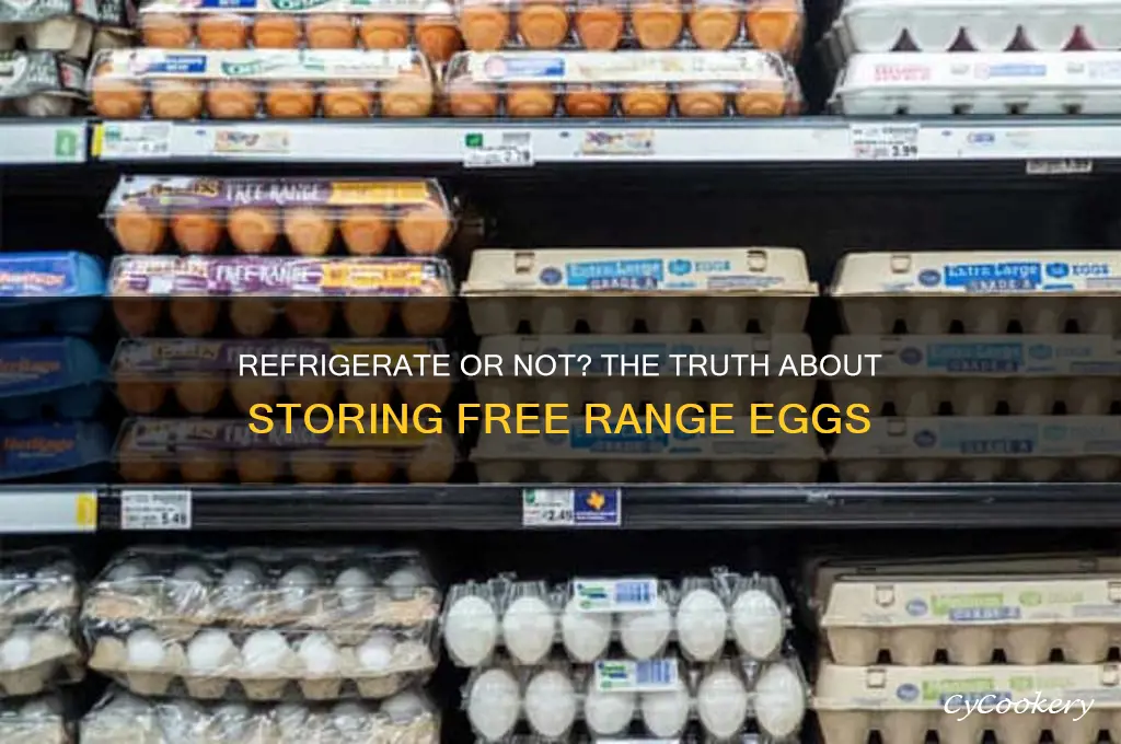 should i refrigerate my free range eggs