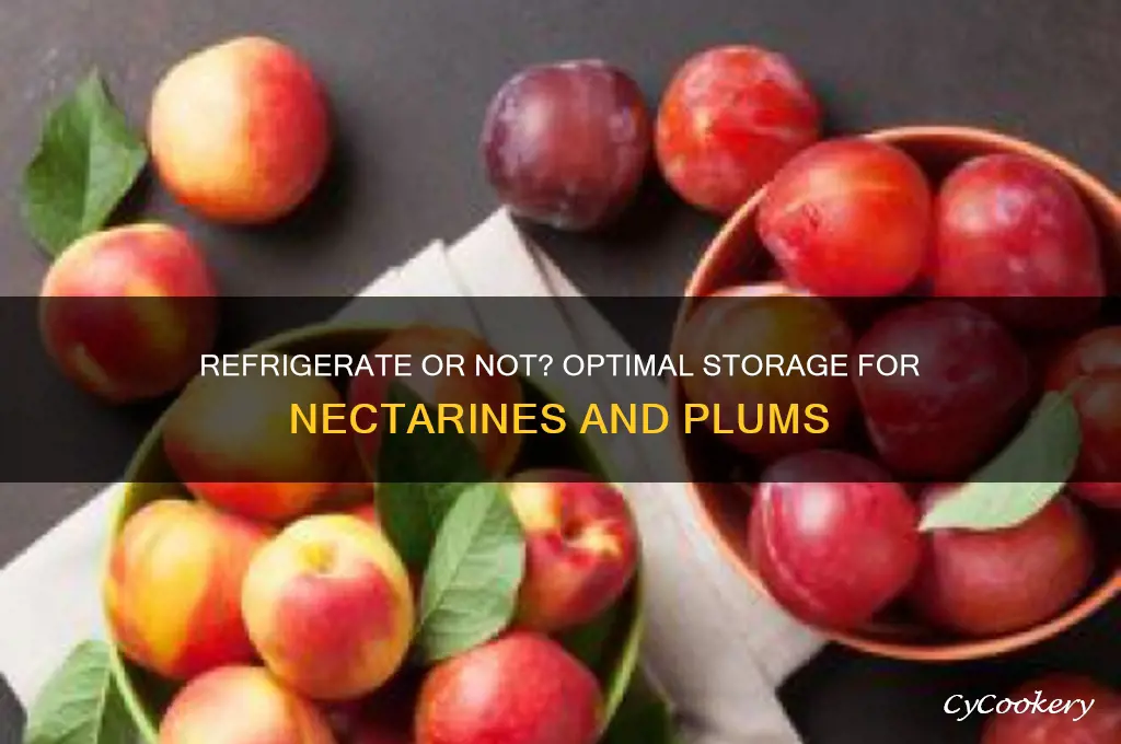 should i refrigerate my nectarines and plums
