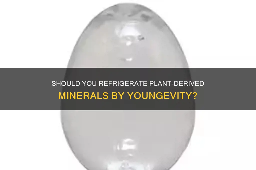 should i refrigerate plant derived minerals youngevity