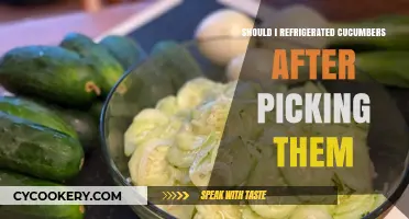Refrigerate or Not? Best Practices for Freshly Picked Cucumbers