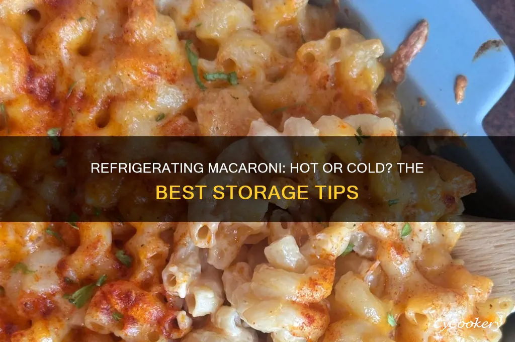 should i refrigerator macaroni hot or cold