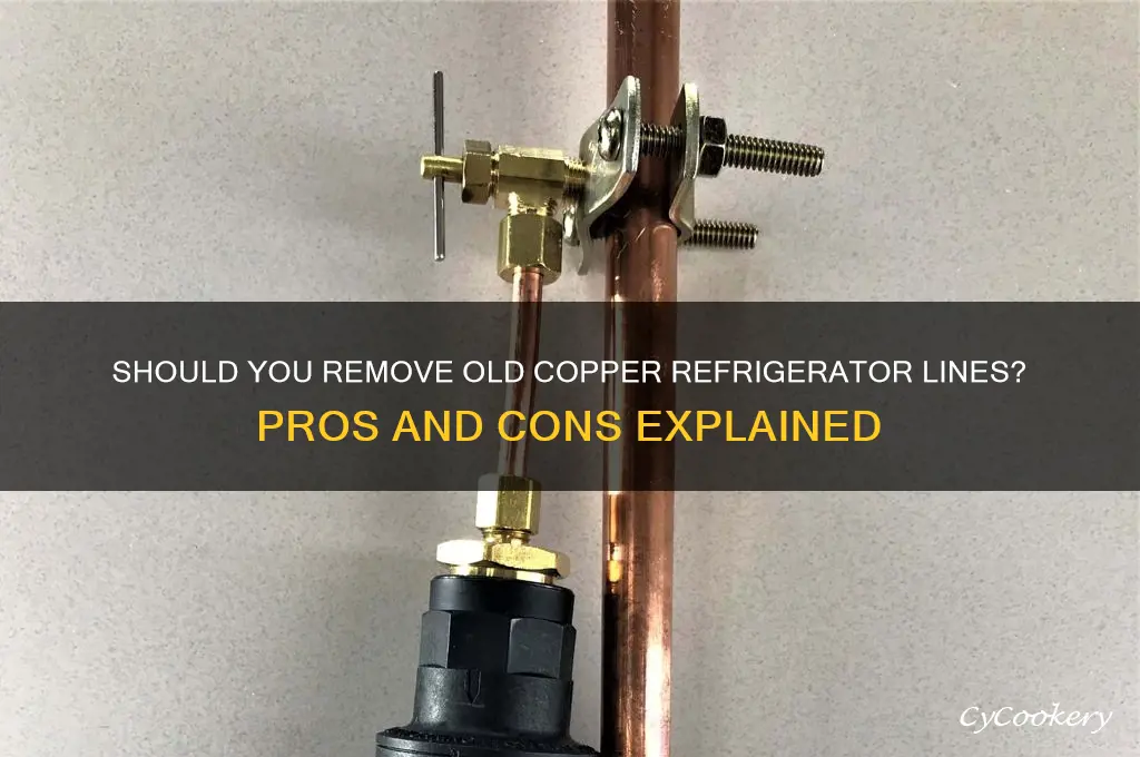 should i remove old copper refrigerator line