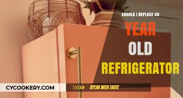 Is It Time to Upgrade Your Aging 20-Year-Old Refrigerator?