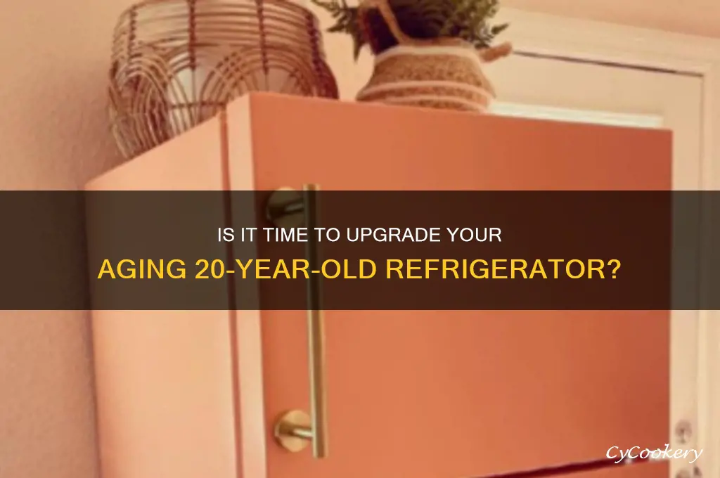 should i replace 20 year old refrigerator
