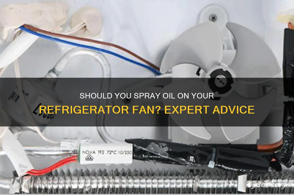 should i spray oil on refrigerator fan