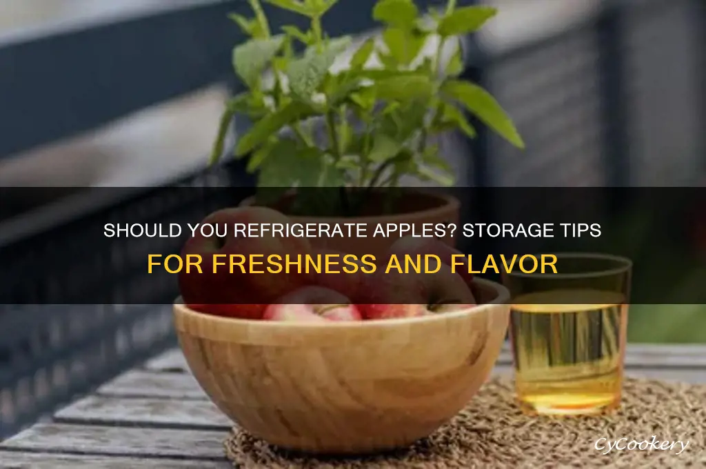 should i store apple in the refrigerator