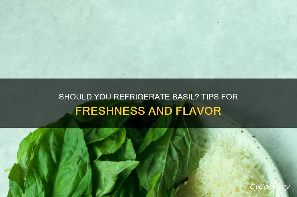 should i store basil in the refrigerator