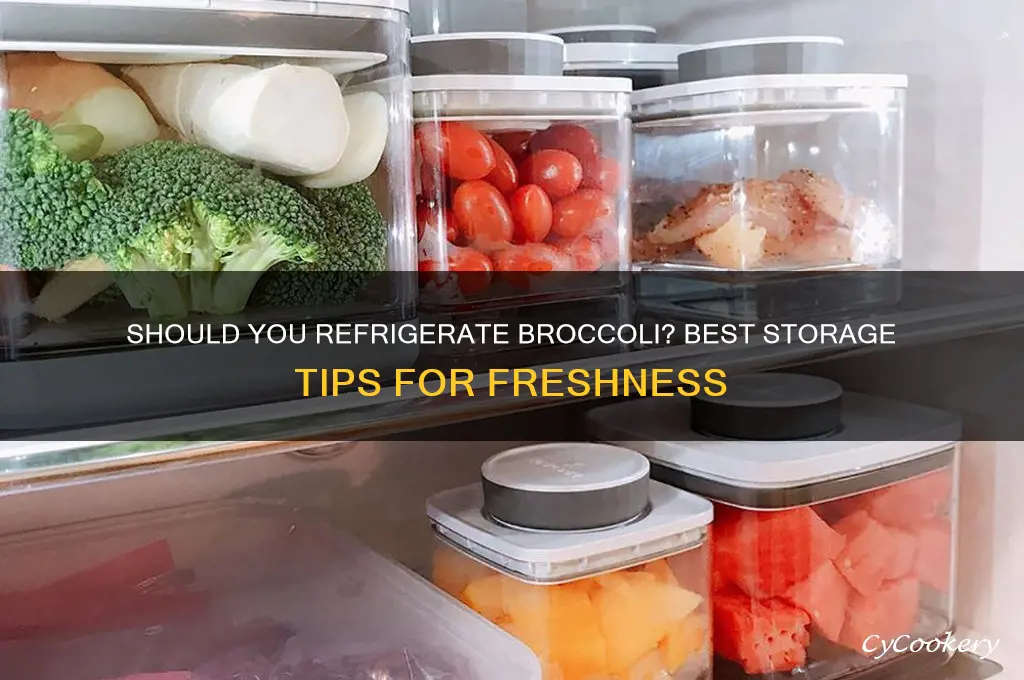 should i store broccoli in the refrigerator