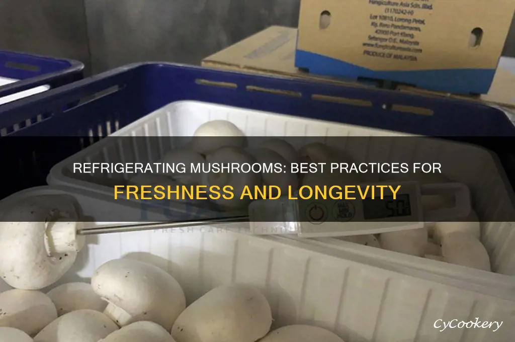 should i store mushrooms in the refrigerator