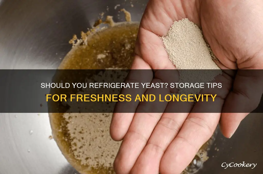 should i store yeast in the refrigerator