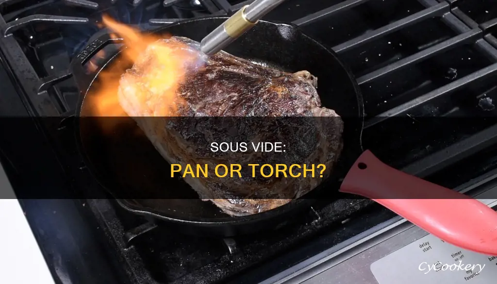 should I torch or pan sear sous vide