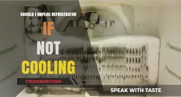 Should You Unplug Your Fridge If It's Not Cooling? Expert Advice