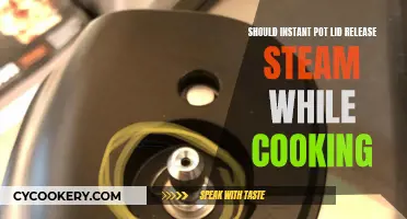 Instant Pot Lid Releasing Steam: What's the Deal?