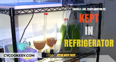 Should Live Zooplankton Be Refrigerated? Pros, Cons, and Best Practices