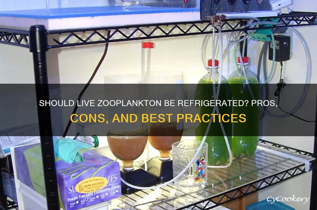 should live zooplankton be kept in refrigerator