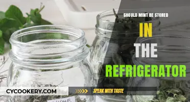Should Mint Be Refrigerated? Optimal Storage Tips for Freshness
