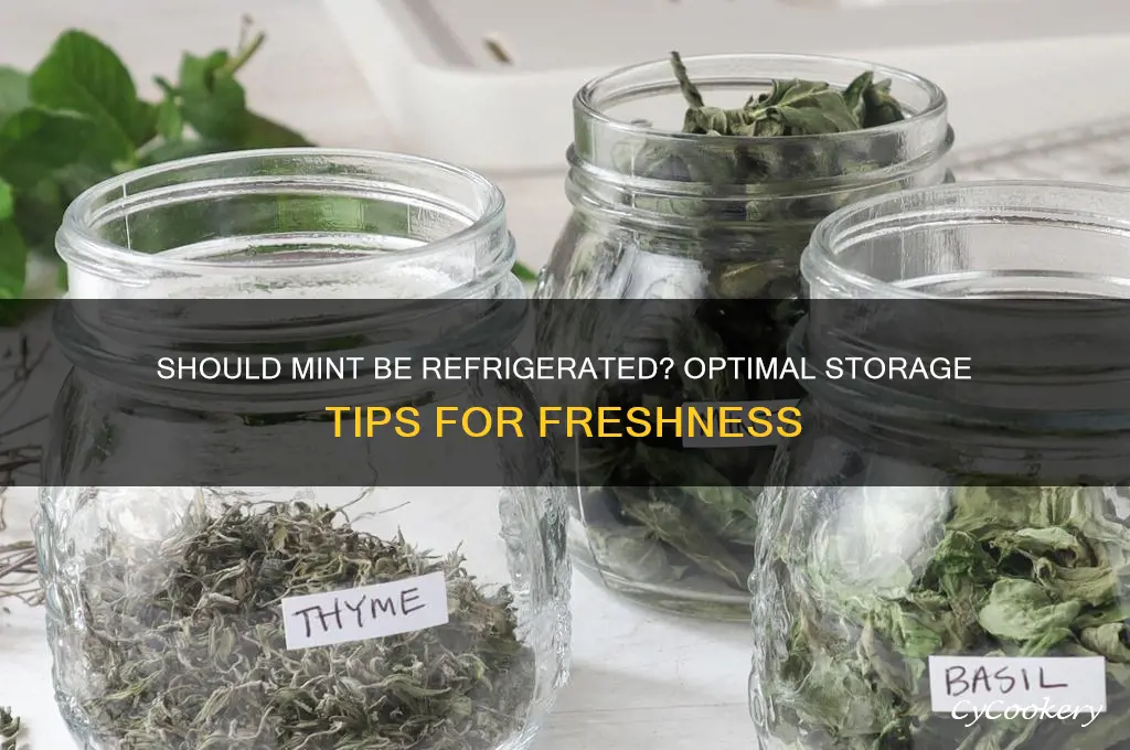 should mint be stored in the refrigerator