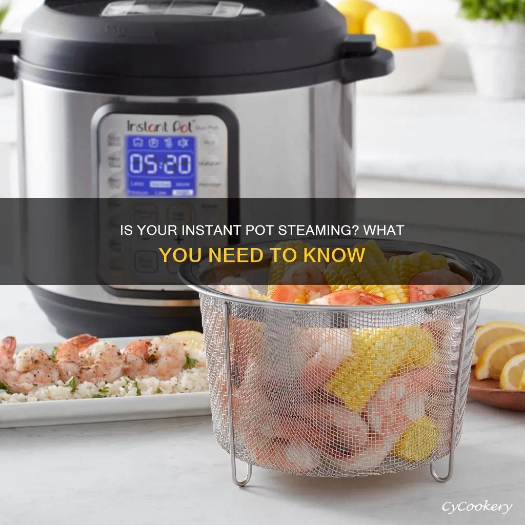 should my instant pot be steaming while pressure cooking