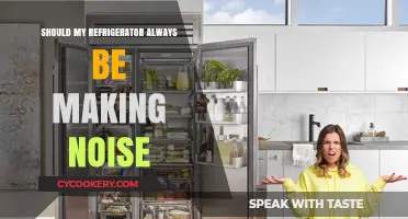 Is Your Fridge Noisy? Understanding Normal vs. Concerning Refrigerator Sounds