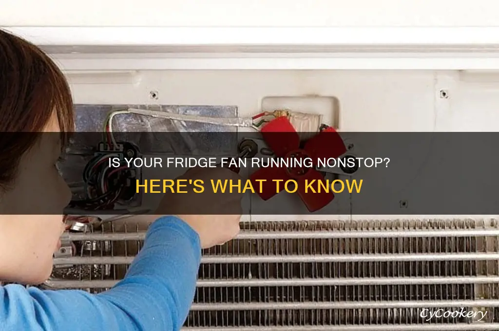 should my refrigerator fan always be rynning