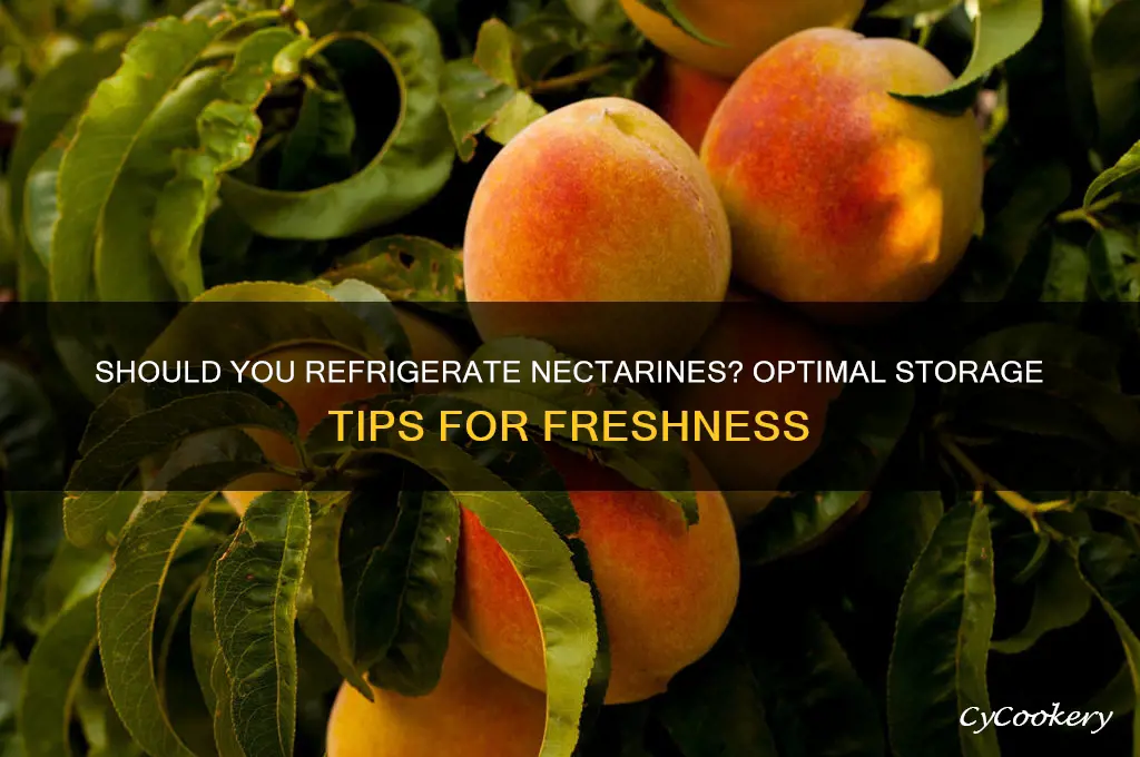 should nectarines be kept in the refrigerator
