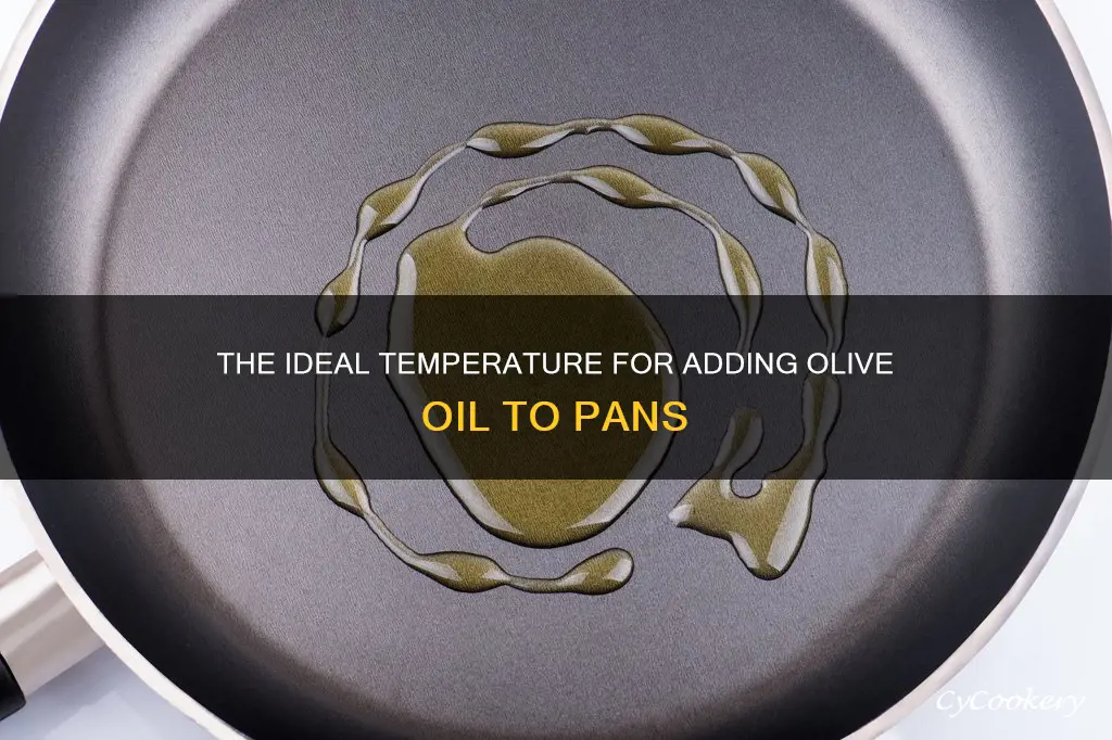 should olive oil be added to cold or hot pan