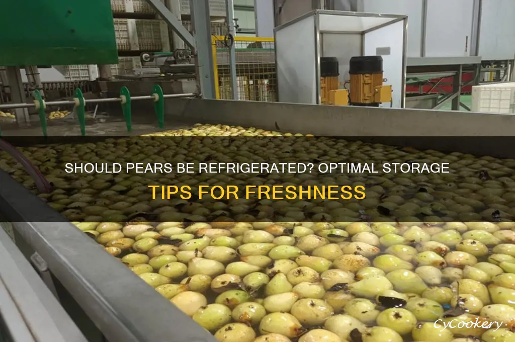 should pears be stored in the refrigerator