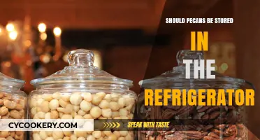 Should Pecans Be Refrigerated? Optimal Storage Tips for Freshness